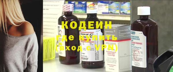 твердый Горняк