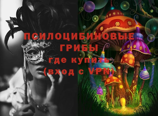 твердый Горняк
