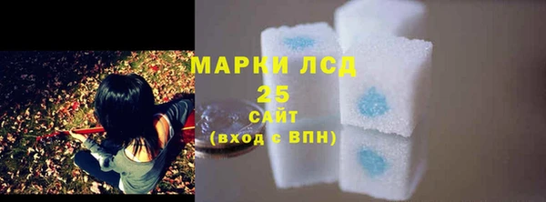 твердый Горняк