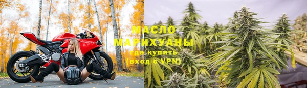 твердый Горняк