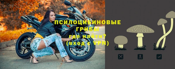 прущая мука Горно-Алтайск
