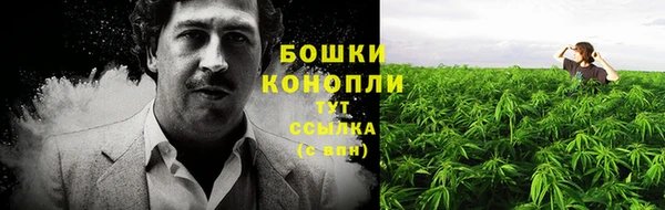 твердый Горняк